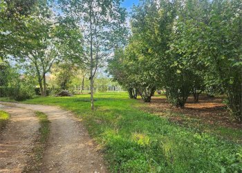 Terreno edificabile Fossano - foto 10