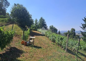 Casa indipendente Località Valleversa, Asti - foto 48