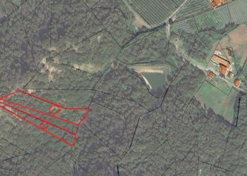 Terreno agricolo via polidoro decimo, Revello - foto 1