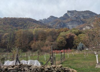 Rustic Via ai Monti, Envie - photo 7