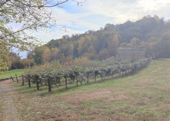 Rustic Via ai Monti, Envie - photo 8