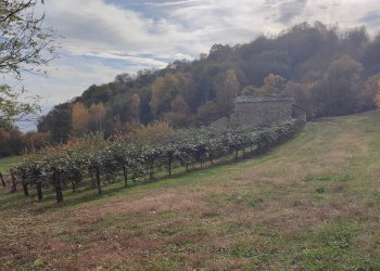 Rustic Via ai Monti, Envie - photo 21