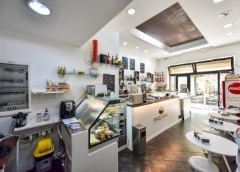 Attività Commerciale Collegno - foto 1