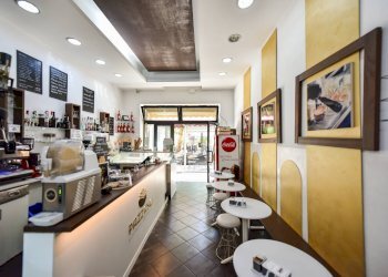 Attività Commerciale Collegno - foto 12