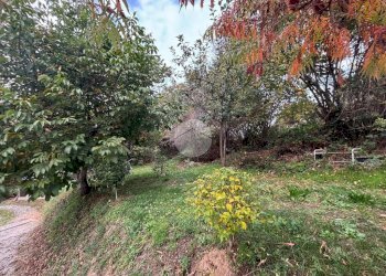 Rustico Borgata carlevè colpastore, Giaveno - foto 6