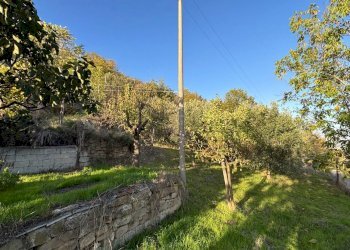 Foto 28 - Casa indipendente Contrada Monte Ponente, Apice - foto 28