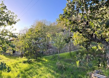 Foto 29 - Casa indipendente Contrada Monte Ponente, Apice - foto 29