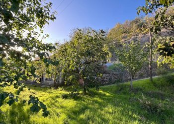 Foto 30 - Casa indipendente Contrada Monte Ponente, Apice - foto 30