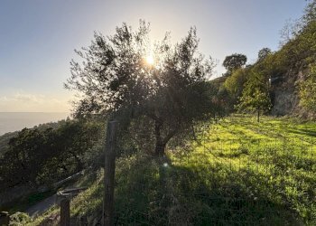 Foto 31 - Casa indipendente Contrada Monte Ponente, Apice - foto 31