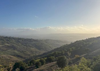 Foto 33 - Casa indipendente Contrada Monte Ponente, Apice - foto 33