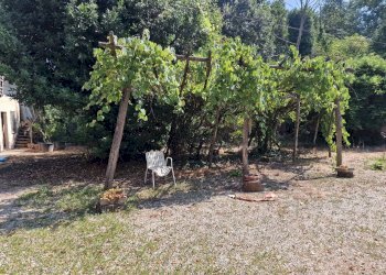 Foto 3 - Rustico Via Don Pennanzio, Bra - foto 3