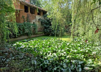 Foto 8 - Rustico Via Don Pennanzio, Bra - foto 8