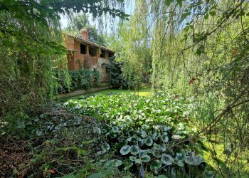 Foto 9 - Rustico Via Don Pennanzio, Bra - foto 9