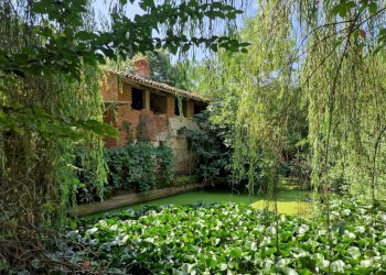 Foto 10 - Rustico Via Don Pennanzio, Bra - foto 10