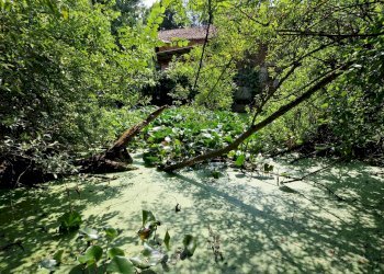 Foto 13 - Rustico Via Don Pennanzio, Bra - foto 13