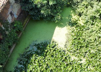 Foto 20 - Rustico Via Don Pennanzio, Bra - foto 20