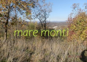 Foto 34 - Villa a Schiera località veracurta, Giusvalla - foto 33