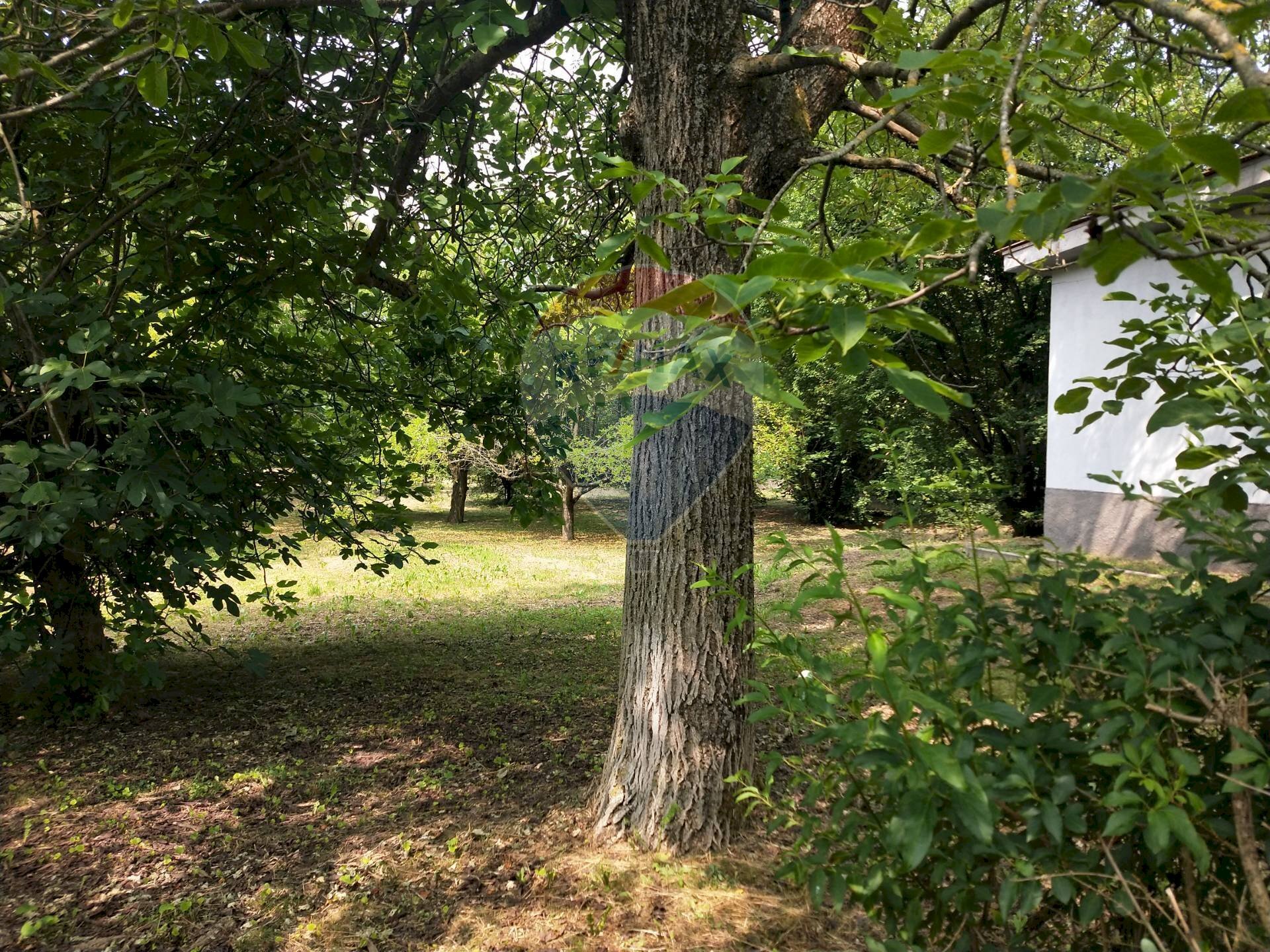 Giardino - Terreno edificabile Via Pessone
 
21, Varallo Pombia - foto 3