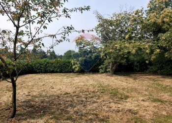 Giardino - Terreno edificabile Via Pessone
21, Varallo Pombia - foto 1