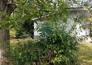 Giardino - Terreno edificabile Via Pessone
21, Varallo Pombia - foto 2