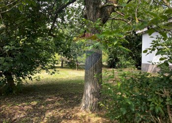 Giardino - Terreno edificabile Via Pessone
21, Varallo Pombia - foto 3