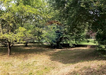 Giardino - Terreno edificabile Via Pessone
21, Varallo Pombia - foto 4