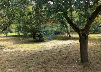 Giardino - Terreno edificabile Via Pessone
21, Varallo Pombia - foto 7