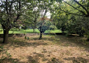 Giardino - Terreno edificabile Via Pessone
21, Varallo Pombia - foto 8