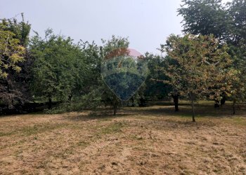 Giardino - Terreno edificabile Via Pessone
21, Varallo Pombia - foto 10