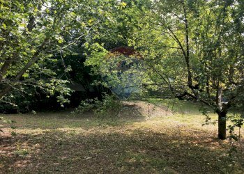 Giardino - Terreno edificabile Via Pessone
21, Varallo Pombia - foto 11