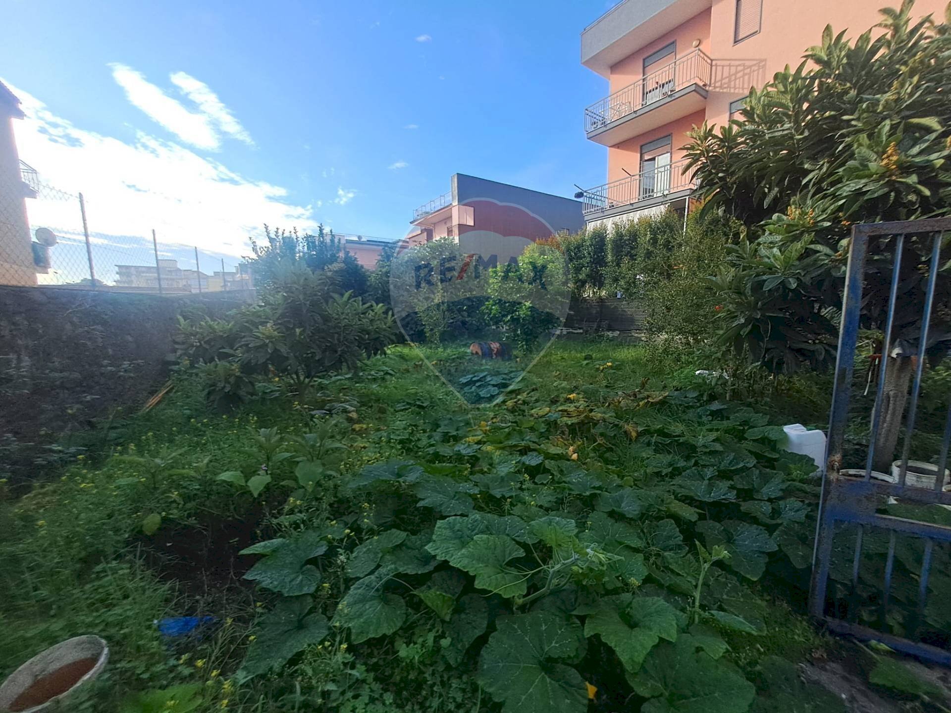 Giardino - Appartamento Via Libertà
2F, Riposto - foto 3