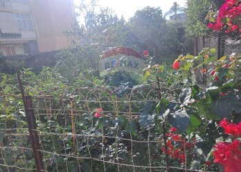 Giardino - Appartamento Via Libertà
 
2F, Riposto - foto 5