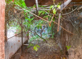 Giardino - Casa indipendente Via XXXI Maggio
 
50, Catania - foto 30