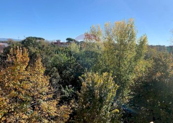 Edificio all\'aperto - Quadrilocale Via Ramiro Fabiani
 
100, Roma - foto 18