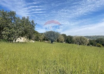 Giardino - Rustico Contrada Cuturi
 
s/n, Scicli - foto 9