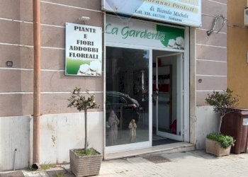 Edificio all\'aperto - Locale Commerciale VIALE AUTONOMIA
59/61, Caltagirone - foto 26