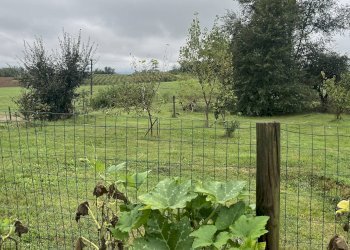 Foto 11 - Villa via Tetti Gianchino
 
5, Arignano - foto 11