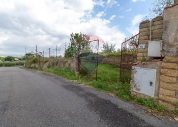 Giardino - Agricultural land Via Colle Pallavicini
40, Zagarolo - photo 3