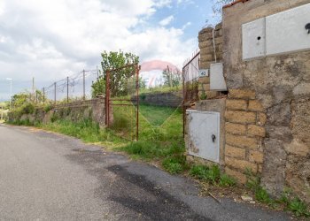 Giardino - Agricultural land Via Colle Pallavicini
40, Zagarolo - photo 4
