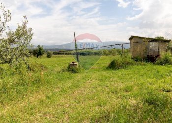 Giardino - Agricultural land Via Colle Pallavicini
40, Zagarolo - photo 5
