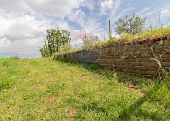 Giardino - Agricultural land Via Colle Pallavicini
40, Zagarolo - photo 6