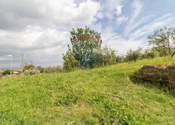 Giardino - Agricultural land Via Colle Pallavicini
40, Zagarolo - photo 7