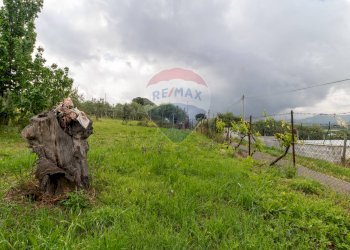 Giardino - Agricultural land Via Colle Pallavicini
40, Zagarolo - photo 11