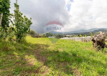Giardino - Agricultural land Via Colle Pallavicini
40, Zagarolo - photo 12