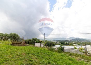 Giardino - Agricultural land Via Colle Pallavicini
40, Zagarolo - photo 14