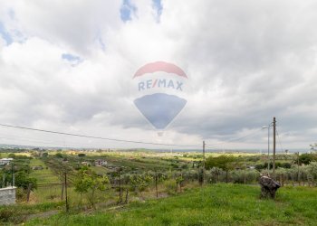 Giardino - Agricultural land Via Colle Pallavicini
40, Zagarolo - photo 15