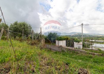 Giardino - Agricultural land Via Colle Pallavicini
40, Zagarolo - photo 16