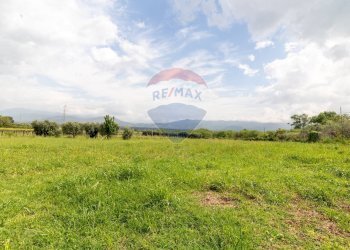 Giardino - Agricultural land Via Colle Pallavicini
40, Zagarolo - photo 22