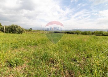 Giardino - Agricultural land Via Colle Pallavicini
40, Zagarolo - photo 23