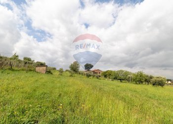 Giardino - Agricultural land Via Colle Pallavicini
40, Zagarolo - photo 24